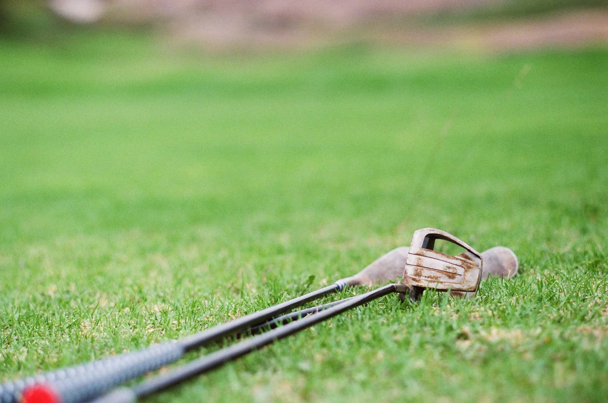 Raw clubs with rust on their heads lie in the grass.