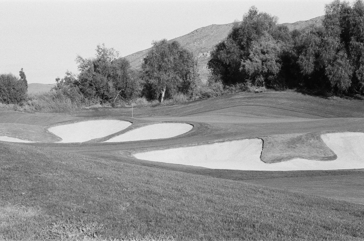 Black-and-white photograph of several curved white sand bunkers around a green beneath trees