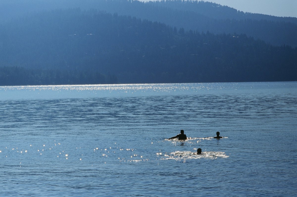 Out past the shallows